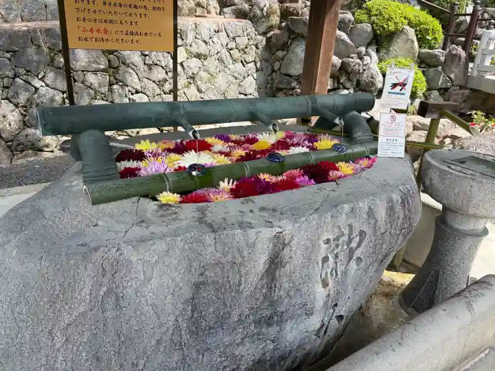 岡寺(龍蓋寺)の{uncategorized: "未分類", other: "その他", undefined: "問題あり", building: "その他建物", grave: "お墓", sacred_gate: "鳥居", guardian: "狛犬", statue: "像", buddha: "仏像", history: "歴史", nature: "自然", garden: "庭園", animal: "動物", pagoda: "塔", temizu: "手水舎", mountain_gate: "山門・神門", sanctuary: "本殿・本堂", subordinate: "末社・摂社", art: "芸術", scenery: "景色", jizo: "地蔵", ema: "絵馬", goshuin: "御朱印", omikuji: "おみくじ", items: "授与品その他", amulet: "お守り", goshuincho: "御朱印帳", eats: "食事", festival: "お祭り", votive_dance: "神楽", shichigosan: "七五三参", wedding: "結婚式", experience: "体験その他", initially: "初詣", around: "周辺", anti_infection: "感染症対策"}
