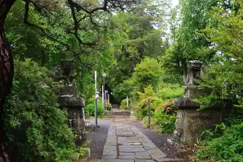 豊景神社の狛犬
