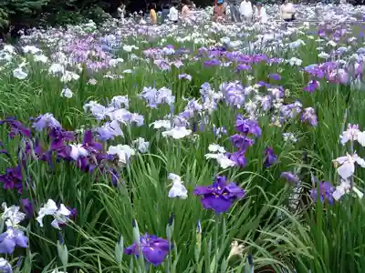 本土寺(千葉県)