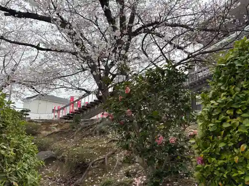 不動寺(大阪府)