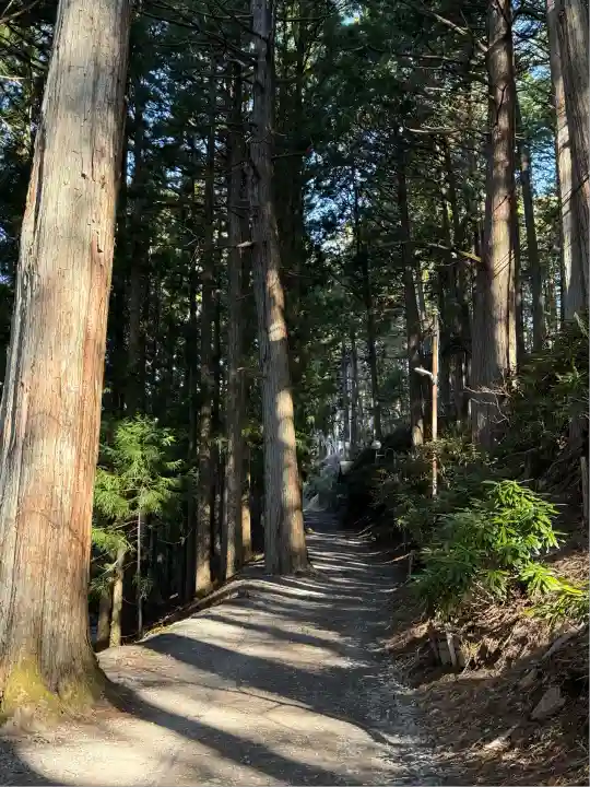 三峯神社(埼玉県)