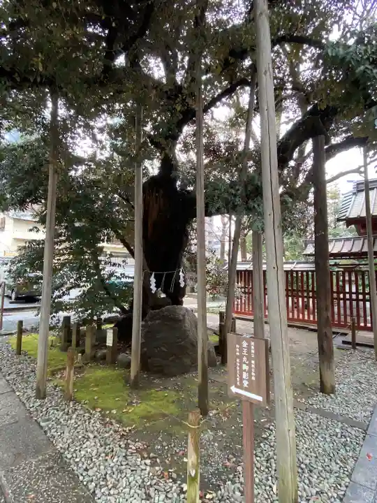 金王八幡宮(東京都)