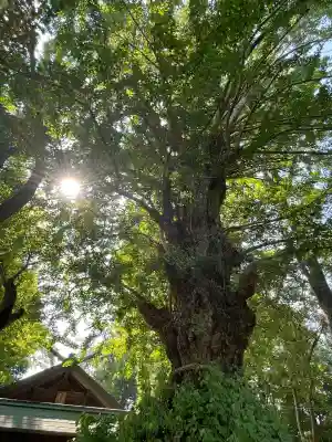 鞆江神社（明地）(愛知県)