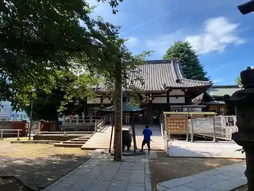 新井薬師（梅照院）の本殿・本堂