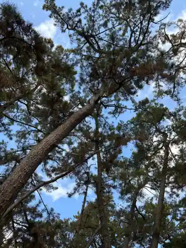 熊野神社の自然