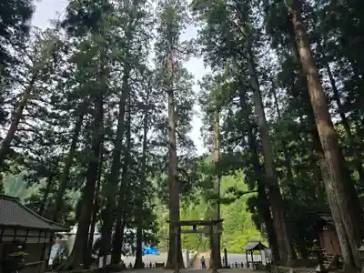 室生龍穴神社(奈良県)