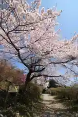 宝登山神社奥宮の自然