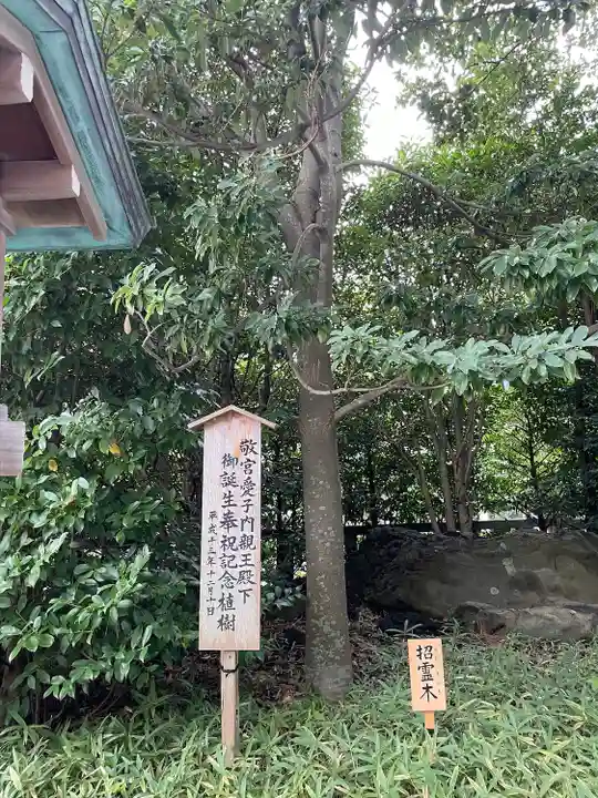 寒川神社の自然