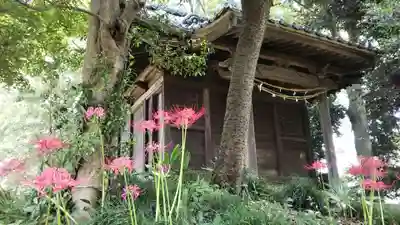 駒形神社(千葉県)