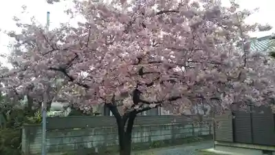 宇佐八幡社の自然