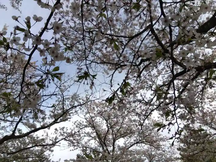 塩土恵美須神社(福井県)