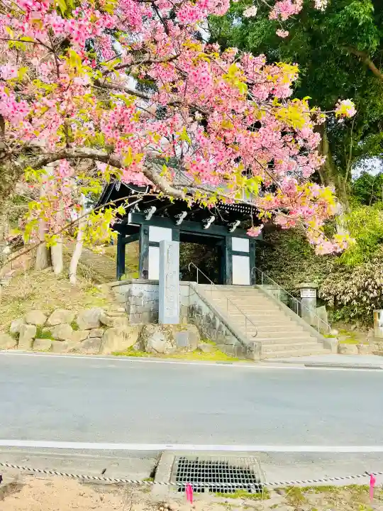 楽法寺(雨引観音)(茨城県)