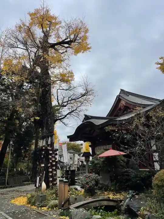 素盞雄神社(東京都)