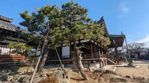 本隆寺（本妙興隆寺）(京都府)