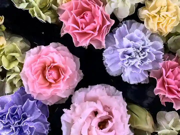 金峯神社(新潟県)