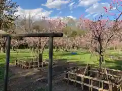 北海道神宮の庭園