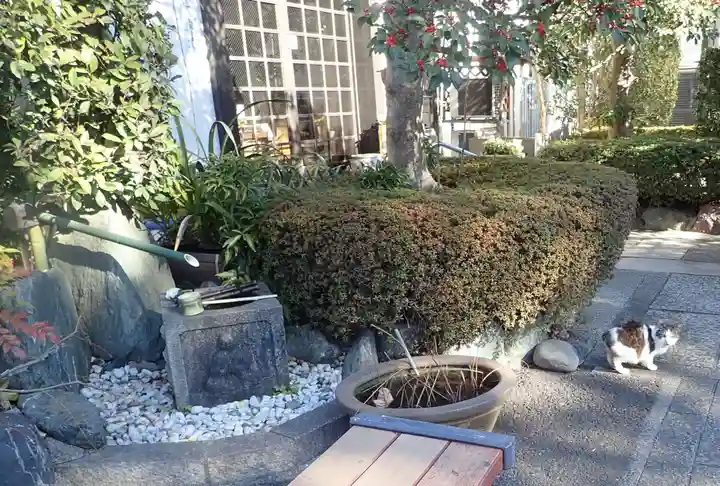 溝口神社(神奈川県)