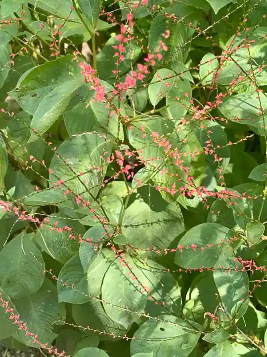 梨木神社(京都府)