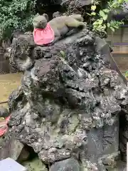 根津神社の狛犬