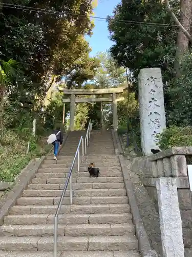 代々木八幡宮の鳥居