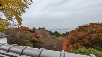 三鈷寺(京都府)