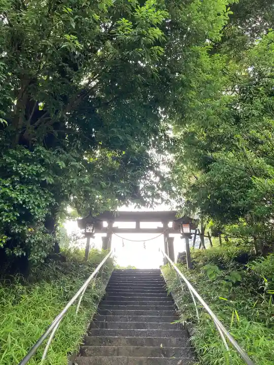 落合白山神社(東京都)