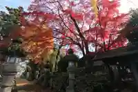 神炊館神社 ⁂奥州須賀川総鎮守⁂の景色
