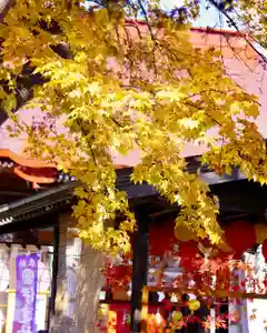 伊達神社(北海道)(2022年10月31日(月) 15時14分27秒投稿)