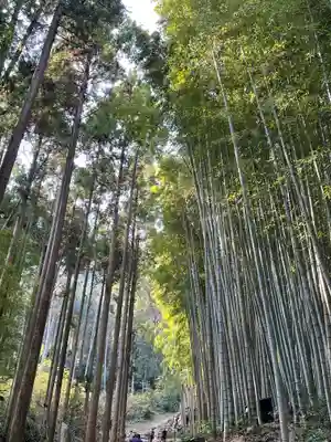 武雄神社の周辺