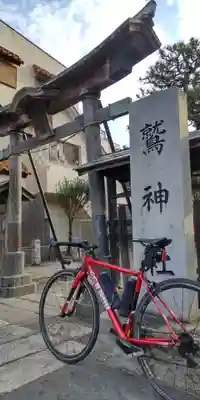 鷲神社(埼玉県)