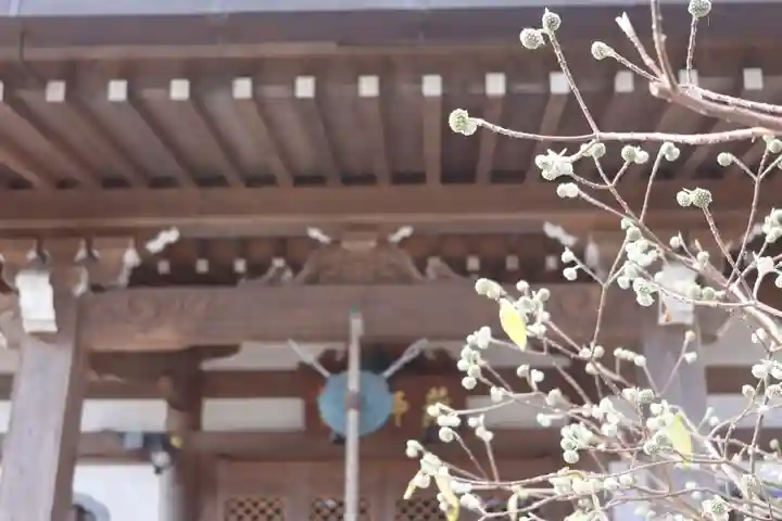 妙楽寺(神奈川県)