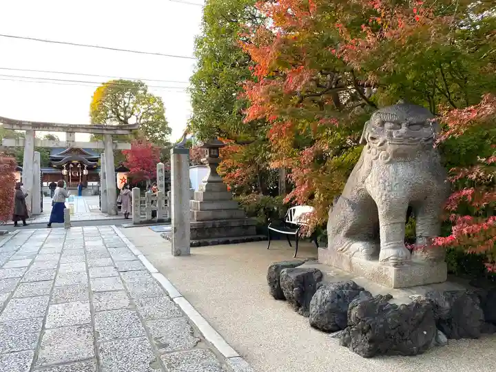 晴明神社の狛犬