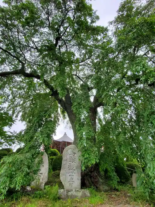 龍光寺(福島県)