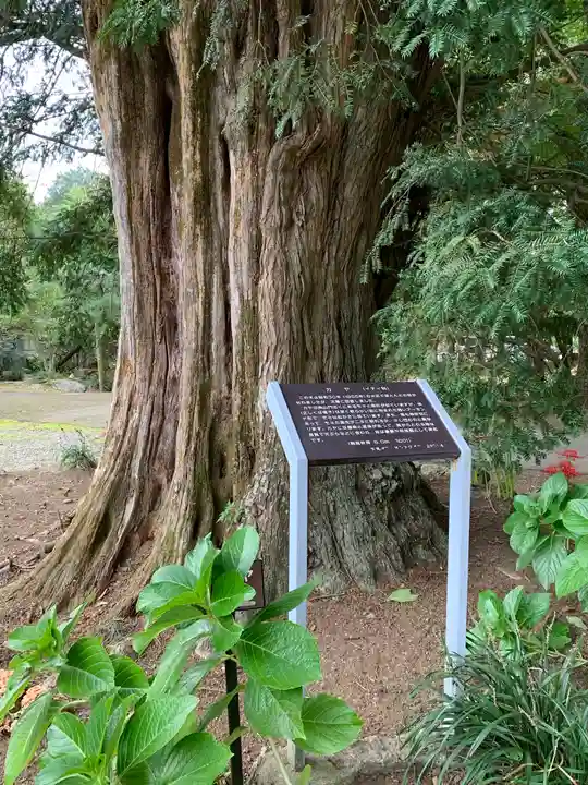 元三大師安楽寺の自然