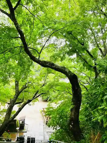 観福寺(千葉県)