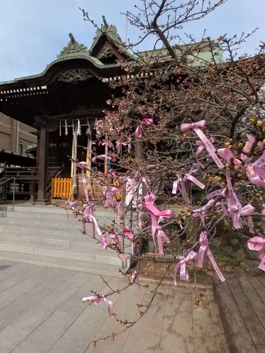 桜神宮(東京都)