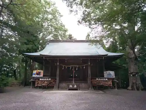 横山八幡宮の本殿