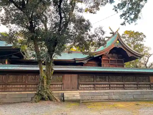 浜松八幡宮の本殿