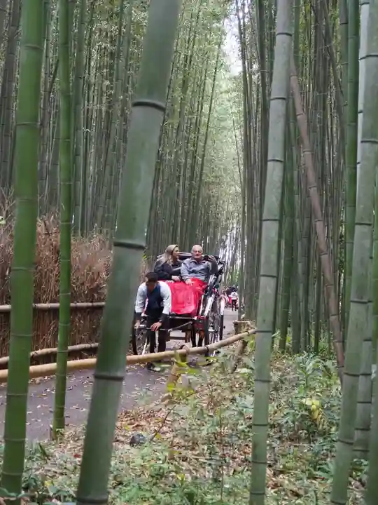 野宮神社(京都府)