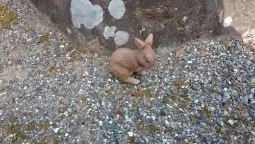 日蓮宗 総本山 塔頭 定林坊(じょうりんぼう)の狛犬