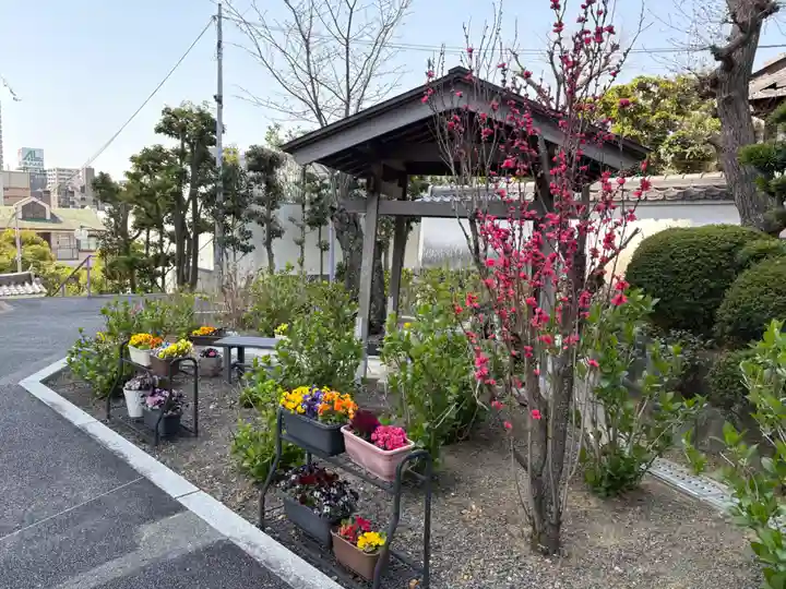 廣智寺(観音廣智勝幢禅寺)(大阪府)
