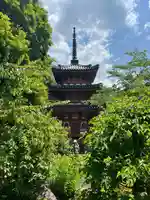 三室戸寺(京都府)
