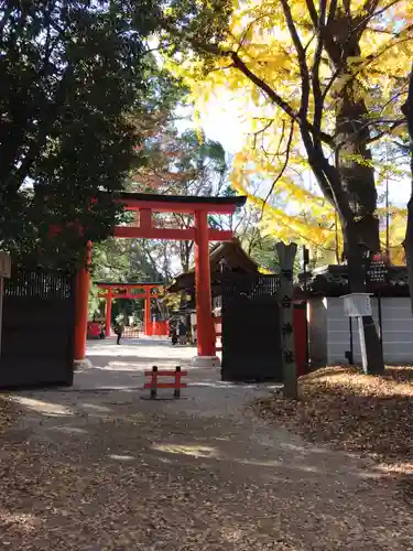 河合神社（鴨川合坐小社宅神社）の鳥居