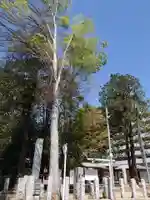 加茂神社の自然