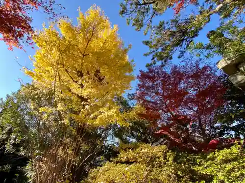 木食寺安祥院の自然