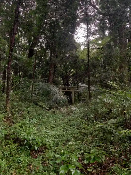 天満宮(千葉県)