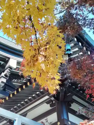 宝勝山　南藏院   蓮光寺の庭園