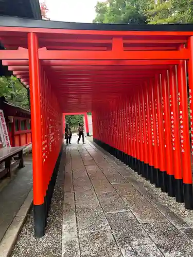 三光稲荷神社の鳥居