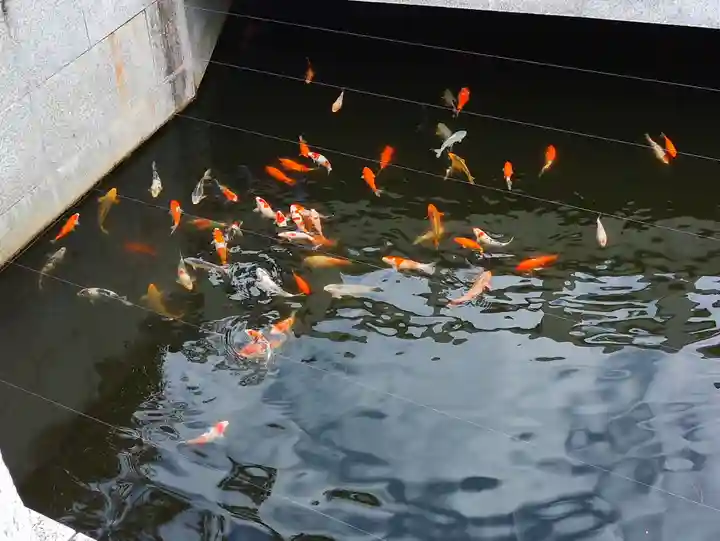 寒川神社(神奈川県)