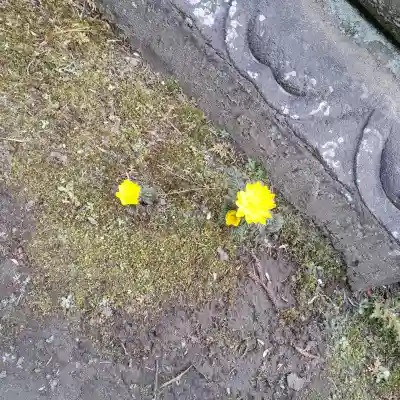 円覚寺の{uncategorized: "未分類", other: "その他", undefined: "問題あり", building: "その他建物", grave: "お墓", sacred_gate: "鳥居", guardian: "狛犬", statue: "像", buddha: "仏像", history: "歴史", nature: "自然", garden: "庭園", animal: "動物", pagoda: "塔", temizu: "手水舎", mountain_gate: "山門・神門", sanctuary: "本殿・本堂", subordinate: "末社・摂社", art: "芸術", scenery: "景色", jizo: "地蔵", ema: "絵馬", goshuin: "御朱印", omikuji: "おみくじ", items: "授与品その他", amulet: "お守り", goshuincho: "御朱印帳", eats: "食事", festival: "お祭り", votive_dance: "神楽", shichigosan: "七五三参", wedding: "結婚式", experience: "体験その他", initially: "初詣", around: "周辺", anti_infection: "感染症対策"}